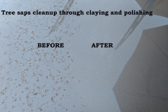 1_IMG_20190806_172159